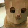 Profilbild von Alex Lee