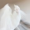 Фото профиля 取り急ぎちゃん