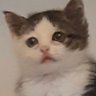 fmig's profile picture