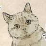 キジネコ様 的头像