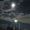 智の山🇯🇵えっくす's profile picture