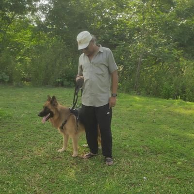 DebashishHiTs's profile picture