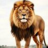 Фото профиля irônico 😼 dos comentários