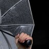 يارا المقطة profil fotoğrafı