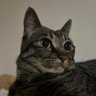 Profilbild von rugbeat43