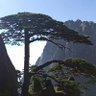 轻风徐来 profil fotoğrafı