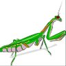 Profilbild von HalcyonMantis