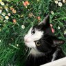 callmevxyz profil fotoğrafı