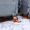 оупен плейс 的头像