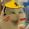 Profilbild von Commie cat 💰