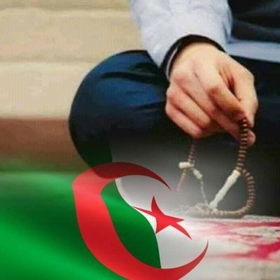 أحمد الجزائري 🇩🇿's profile picture