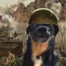 virgilioelpoeta's profile picture