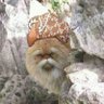 Фото профиля Abdull Malik