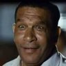 ابن تشرين's profile picture