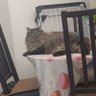 Фото профиля Tom