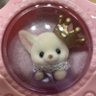 ちょこみざわちょこ太郎 profil fotoğrafı
