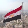 Mohamed Mourad's profile picture