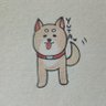 佑🐹 的头像