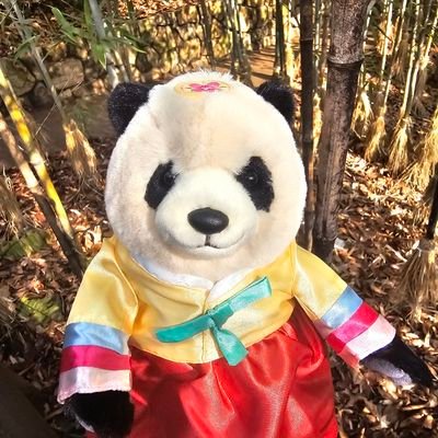 바오 (𝐁𝐚𝐎)'s profile picture