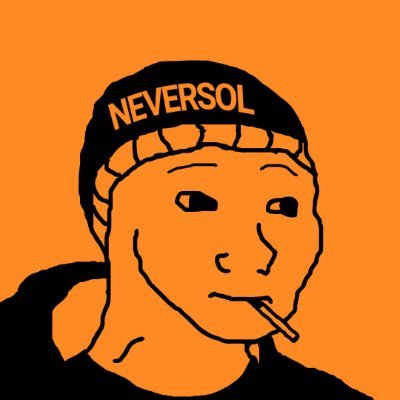 Neversol_coin's profile picture