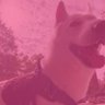 Profilbild von iStayWavyy