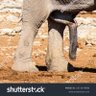Фото профиля Ceed