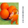Фото профиля きんたまけるな🥸