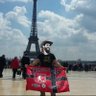 🚩☭Atorrante Escarlata☭ 🚩 profil fotoğrafı