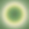Profilbild von MU