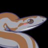 Profilbild von Rosy Boa 🏳️‍⚧️