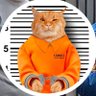 𝑩𝒂𝒏𝒈 𝑶𝒚𝒆𝒏 profil fotoğrafı