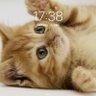 Profilbild von Yana
