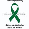 Jaume profil fotoğrafı