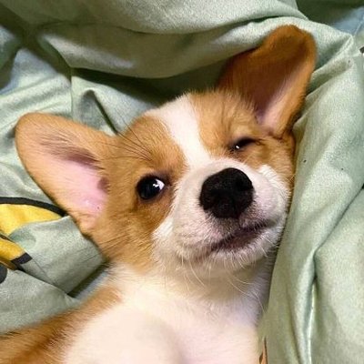 徹言's profile picture