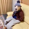 Mac 的头像