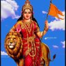 🇮🇳🇮🇳Ujala Gupta Bhojwal🇮🇳's profile picture