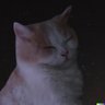 Om's profile picture