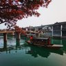 情若浮生(互fo必回) 的头像