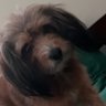 Profilbild von Ethan Ochoa