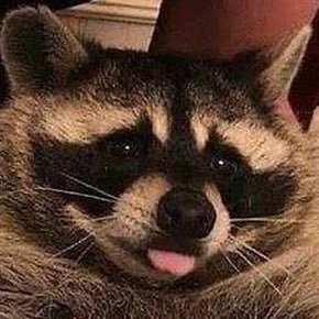 firekeepur's profile picture