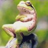 Khris Ludah profil fotoğrafı