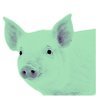 Profilbild von sukotnok