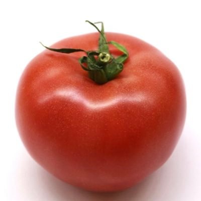 saharaoasis_'s profile picture