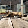 디오넴 profil fotoğrafı