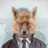The Fox 的头像