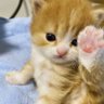 🥣 lover. profil fotoğrafı