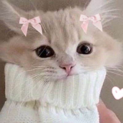 ivyandclovers's profile picture