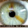 あはは 的头像