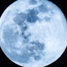BLUE profil fotoğrafı