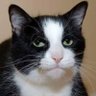Profilbild von Skinny Dugan